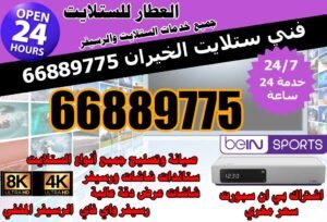 فني ستلايت الخيران
