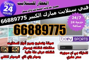 فني ستلايت مبارك الكبير
