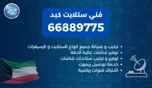 فني ستلايت كبد